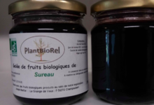 Plantbiorel. Gelée de fruits de sureau noirs