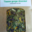 Plantbiorel. Tisane gorge douceur