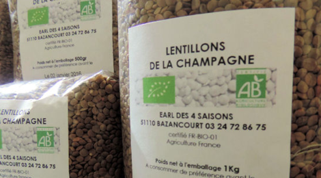 Lentillons de Champagne