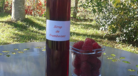 Anne Champenois. Sirop de framboises