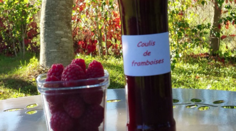 Anne Champenois. Coulis de framboises