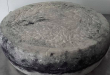 la ferme de Saint Quentin. Tomme de brebis