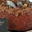 Boulangerie patisserie Guenard. Nid chocolat