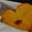 Au fournil des bons "gout". Palmier