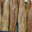 Boulangerie pâtisserie Poterlot. Petrisanes