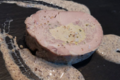 Filet mignon de Cochon farci au Foie Gras, crème forestière
