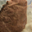 Ferme de la harnoterie. Terrine de campagne