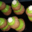 Boulangerie Patisserie Au Fournil Pixien