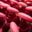 Sacrées Pâtisseries de Zoé Petit. Macaron framboise