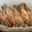Boulangerie Villeflose. Baguette beaujolais