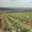 Champagne Jean Josselin