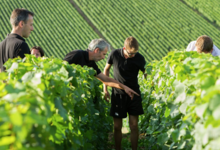 Champagne Baudry