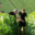 Champagne Baudry