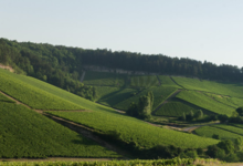 Champagne Baudry