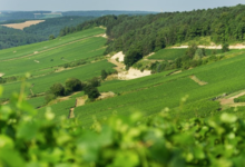 Champagne Baudry