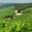 Champagne Baudry