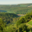 Champagne Baudry