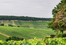 Champagne Gremillet