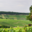 Champagne Gremillet