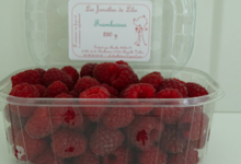 Les Jancélies de Lilie. Framboises