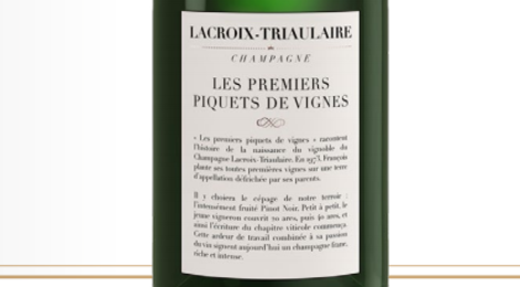 Champagne Lacroix Triaulaire. Les premiers piquets de vigne