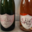 Domaine Florence Pelletier. Opheliange