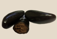 Moules chocolat dragéifiées fourrées praliné