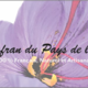Safran du Pays de l'Or