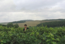 Champagne Péligri