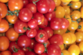 Jardin du poirier. Tomates