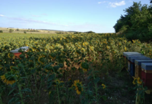 Gaec Miot - Huilerie du Haut du Sec