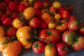 La montagne au safran. tomates