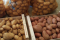 Légumes de Montsaon. Pommes de terre