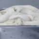 Les Glaces de la Ferme du Tremblay. Sorbet mojito