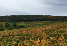 Champagne Bochet-Lemoine
