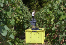Champagne Bochet-Lemoine