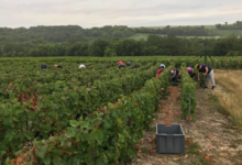 Champagne Bochet-Lemoine