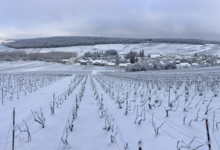 Champagne Bochet-Lemoine