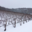 Champagne Bochet-Lemoine