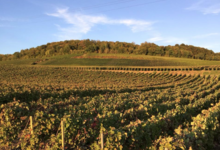 Champagne Bochet-Lemoine