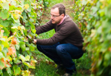 Champagne J Dumangin Fils