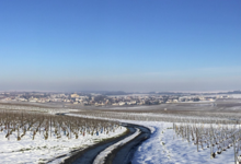 Champagne Michel Mailliard