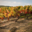 Champagne Saint Sauveur