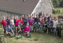 Champagne Saint Sauveur