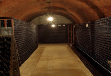 Champagne Saint Sauveur