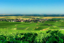Champagne Barnaut