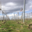 Champagne Jean Plener fils