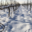 Champagne Jean Plener fils