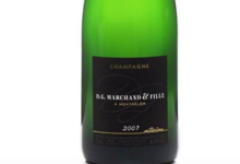 Champagne D. G. Marchand et Fille. Champagne millésimé