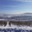 Champagne Le Gouive